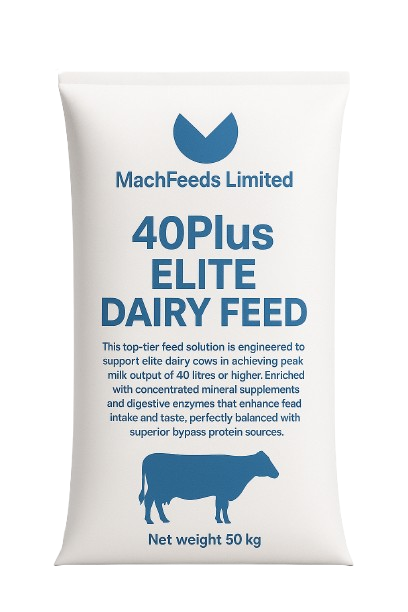40Plus Elite Dairy Feed