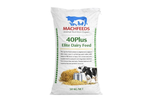40Plus Elite Dairy Feed