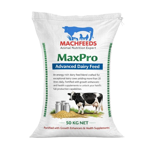 MaxPro Advanced Dairy Feed