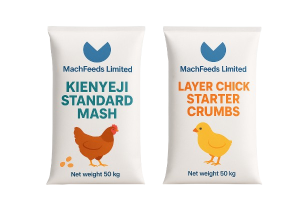 Kienyeji Standard Mash